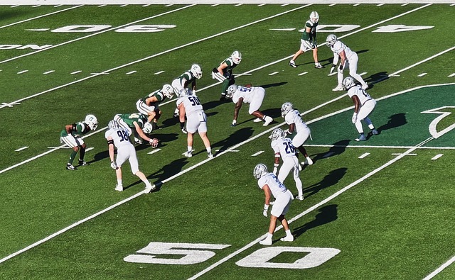 了高水平的 了高水平的