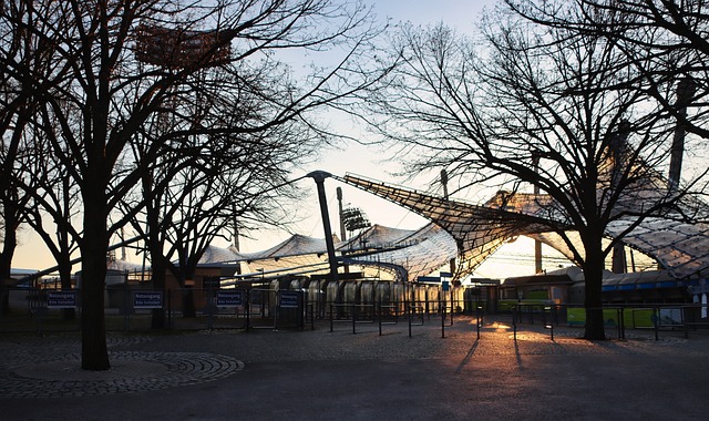 他们有望在 他们有望在