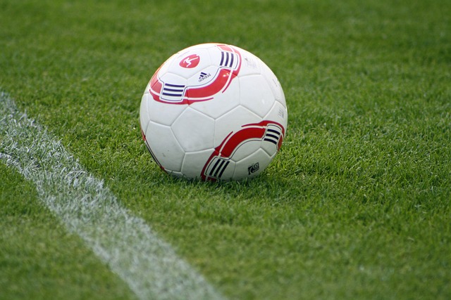 勇士队在经 勇士队在经