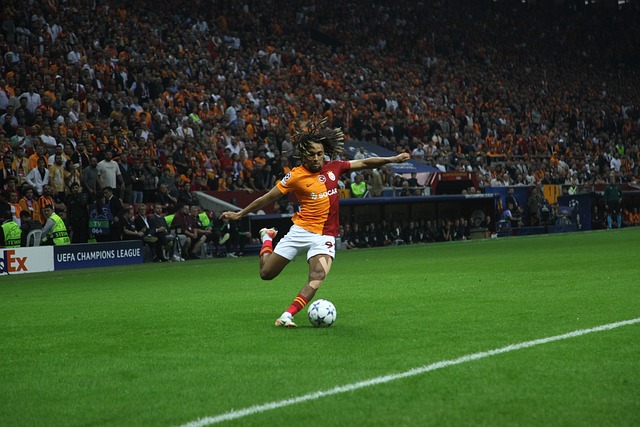 作战的优势 作战的优势