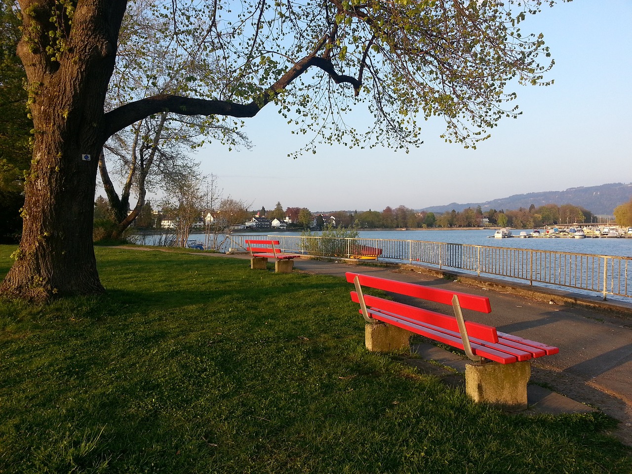 我们的训练 我们的训练