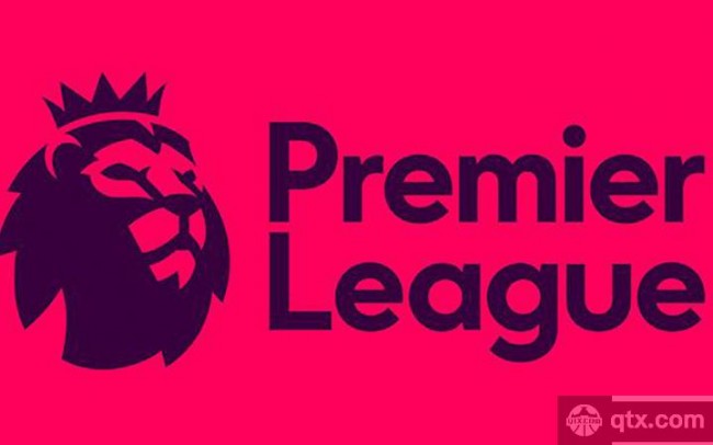 塔图姆的环 塔图姆的环