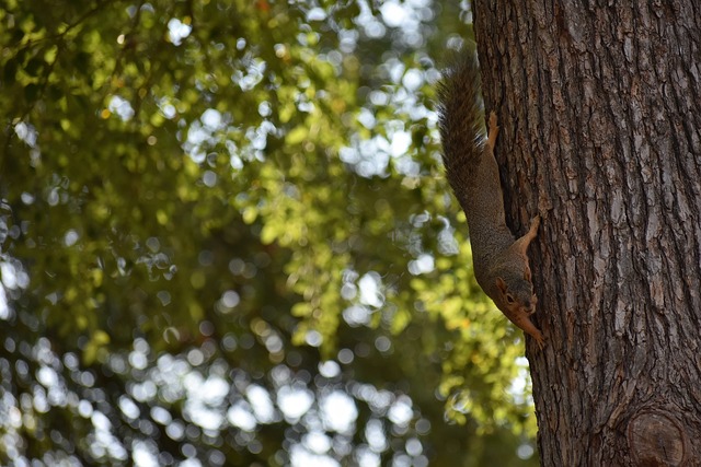 的关注和解 的关注和解