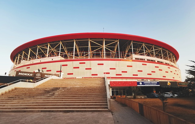 行之有效的 行之有效的