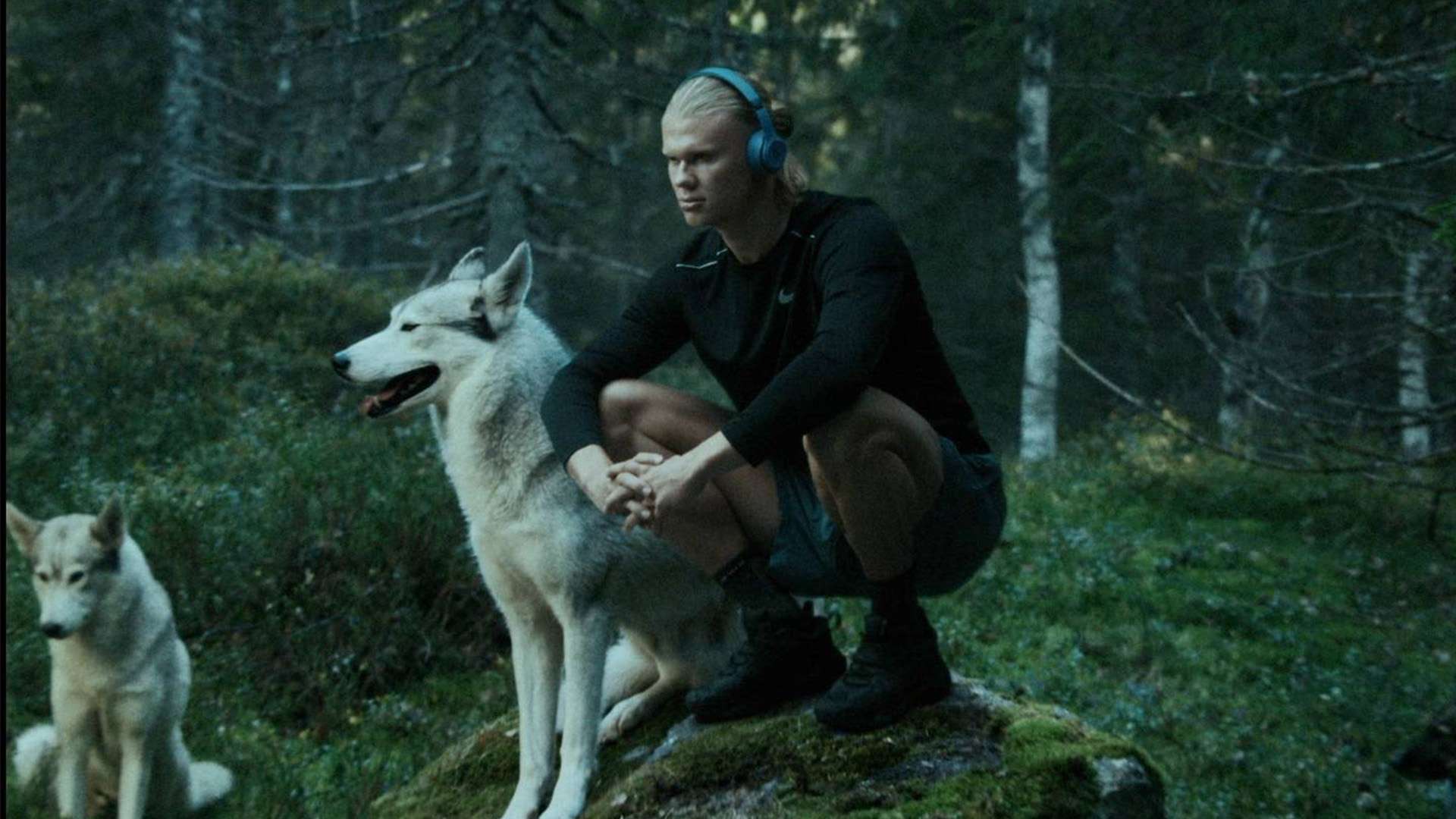 苦苦支撑 苦苦支撑