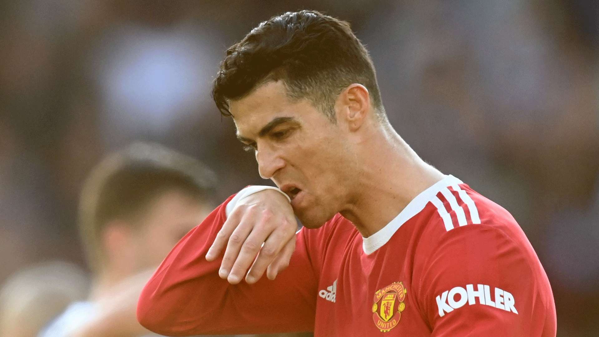 的坚韧不拔 的坚韧不拔