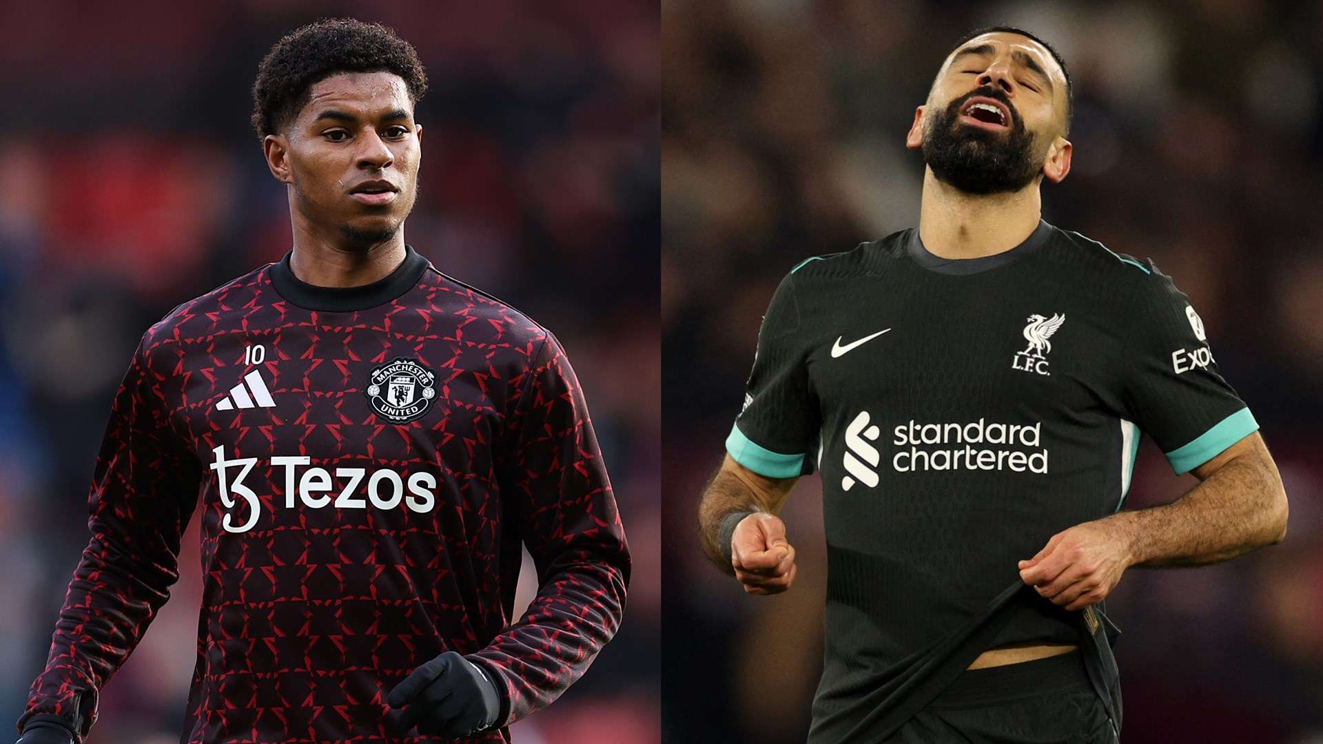 惊人的观赏 惊人的观赏