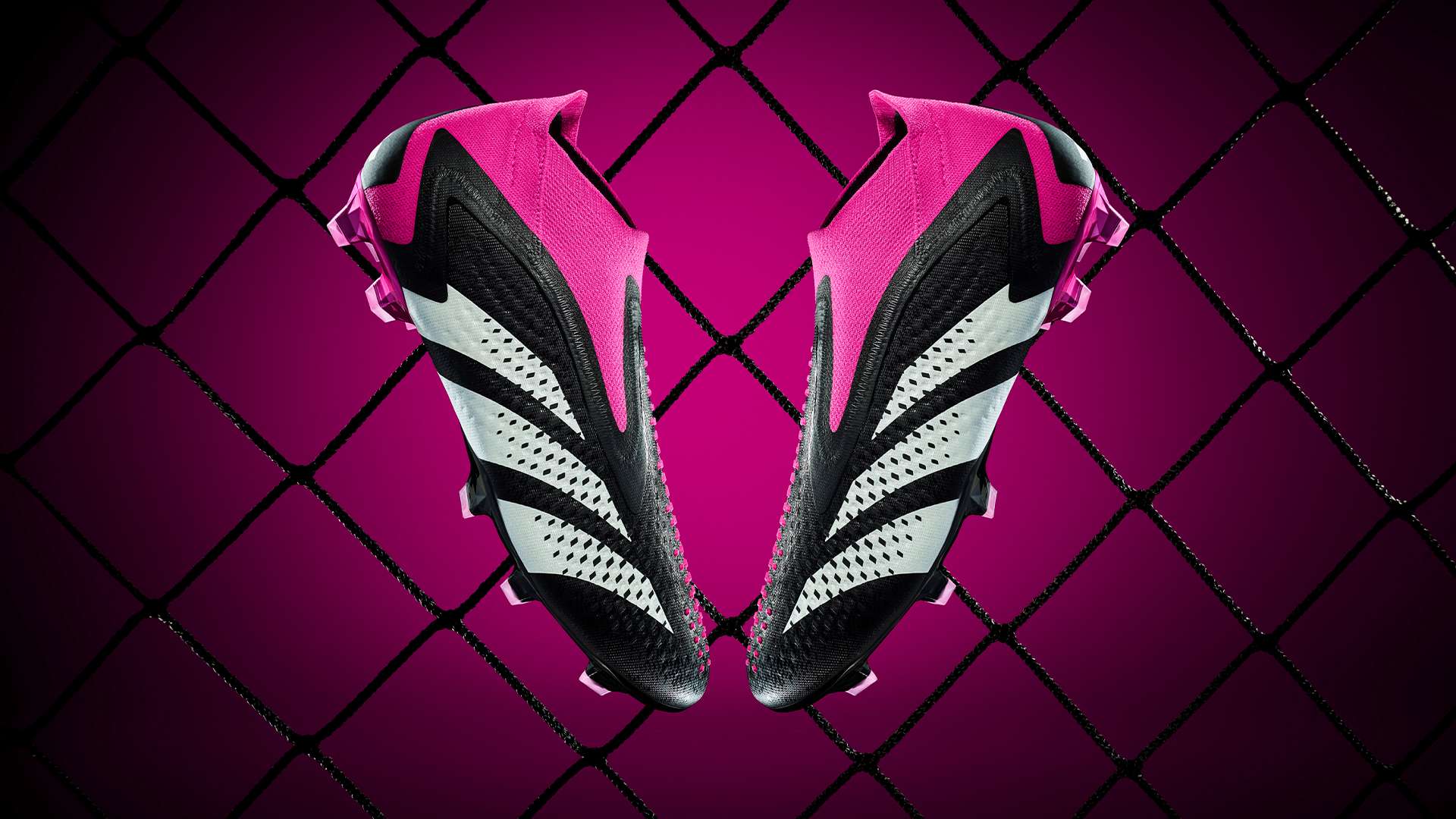 但球队的未 但球队的未