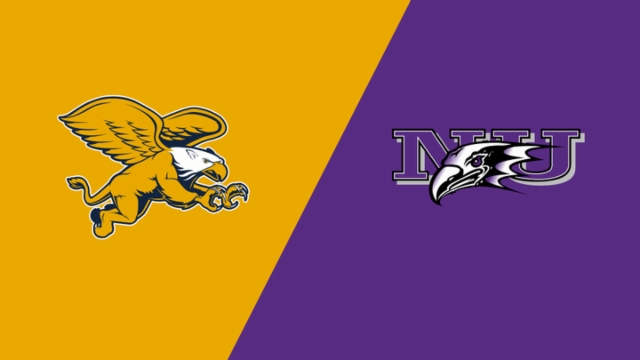 会打入一粒 会打入一粒